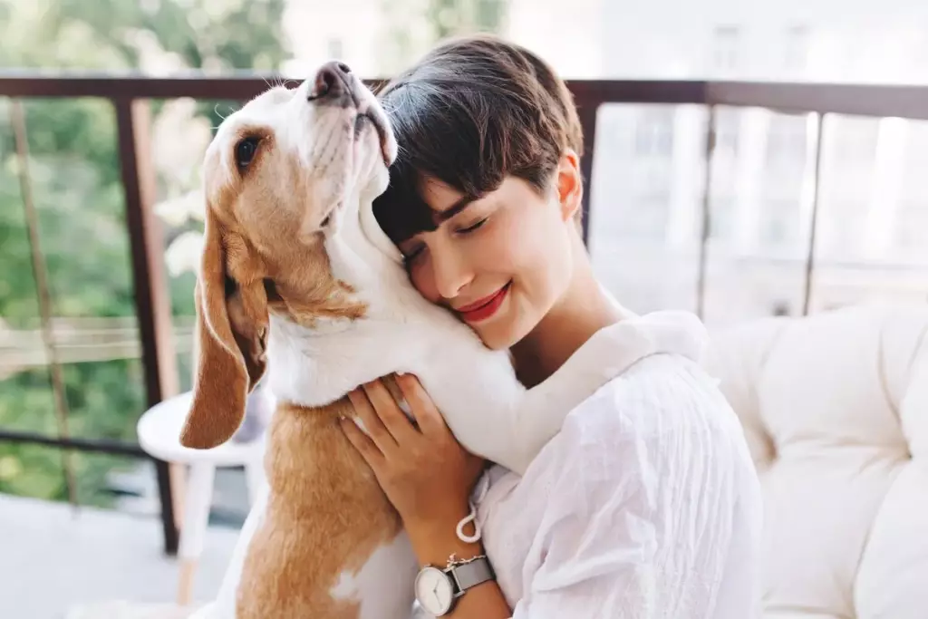 a woman fostering a dog from an animal rescue in Blue Ridge, GA